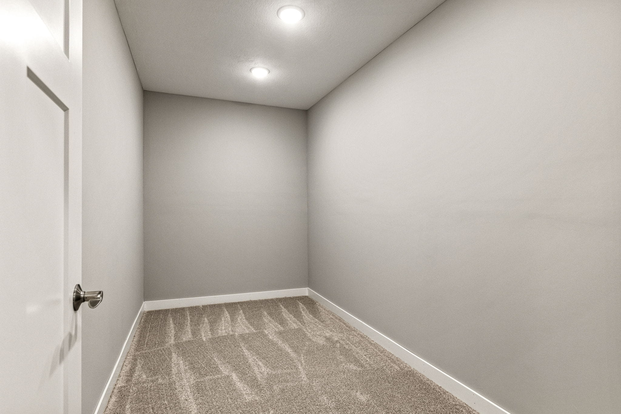 Basement flex room