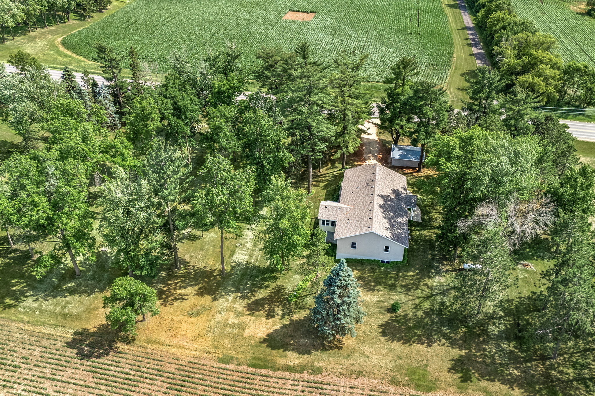 Grounds